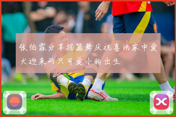 张伯霖分享摇篮舞庆祝喜讯家中爱犬迎来两只可爱小狗出生