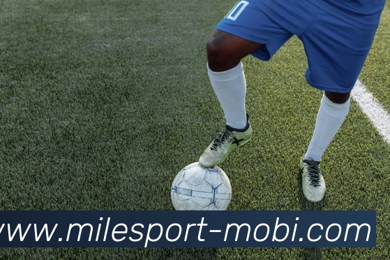 米乐体育APP 封面图